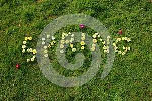 The word spring spelt out in flowers.