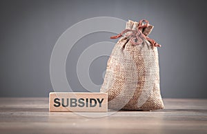 Word Subsidy on wooden block with a money bag