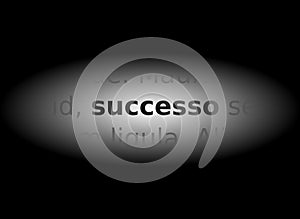 Word success highlighted by light, gray tones, italian, isolated.