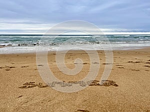 Word Summer handwritten on sandy beach with soft ocean wave on background