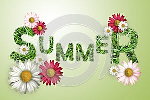 The word summer texture of a green grass, white and pink daisies on a green background,
