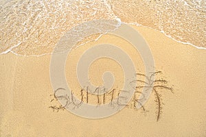 The word Summer written on a sandy beach with one palm. Vacation and tourism concept