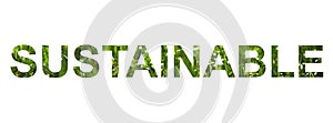 Word sustainable isolated on whote background. Gren grass text design