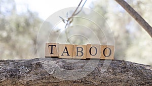 The word TABOO was created from wooden blocks. Sociology and life.