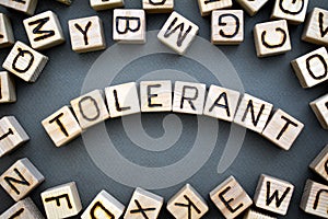 the word tolerant wooden cubes with burnt letters