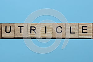 Word utricle made from wooden gray letters photo