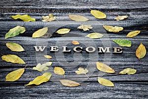 Word Welcome, wooden letters. Frame of yellow leaves, wooden background