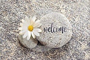 Word Welcome written on a stone with a daisy