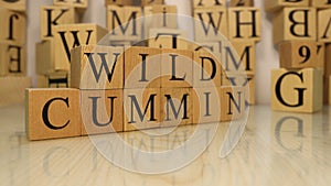 The word wild cummin was created from wooden letter cubes.