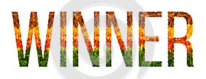 Word winner written with leaves white isolated background, banner for printing, creative illustration of colored leaves.