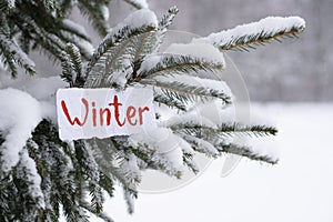 The word winter is written on paper against the background of a snowy Christmas tree. It`s snowing. Selective focus, blurred