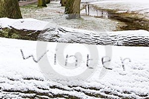 Word winter written in snow on oak tree trunk