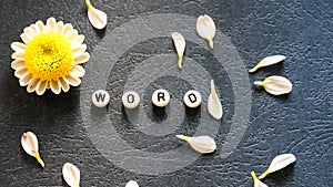 The word `Word` laid out of round blocks, scattered petals and chamomile 1.