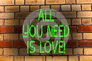 Word writing text All You Need Is Love. Business concept for Deep affection needs appreciation roanalysisce Brick Wall photo