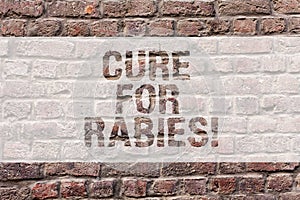 Word writing text Cure For Rabies. Business concept for Vaccination medicines to fight against illness lethal virus