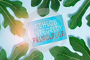 Word writing text Ethics Integrity Principles. Business concept for quality of being honest and having strong moral.