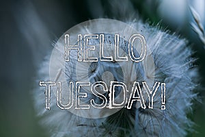 Word writing text Hello Tuesday. Business concept for a greeting or warm welcome to the third day of the week.