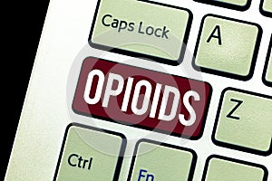 Word writing text Opioids. Business concept for Class of drugs that include the illegal heroin Opium poppy plant