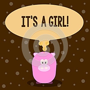 Word writing text It S A Girl. Business concept for Female baby coming Gender reveal Celebration.