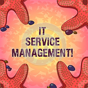 Word writing text It Service Management. Business concept for the process of aligning enterprise IT services Starfish