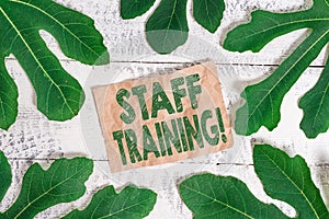 Word writing text Staff Training. Business concept for learn specific knowledge improve perforanalysisce in current