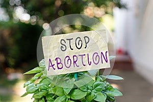 Word writing text Stop Abortion. Business concept for advocating against the practice of abortion Prolife movement Plain