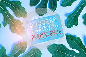 Word writing text Success Through Persistence. Business concept for never give up in order to reach achieve dreams.