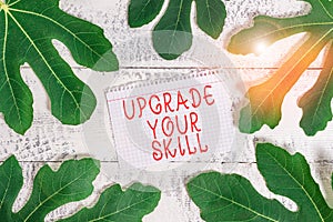 Word writing text Upgrade Your Skill. Business concept for Expand Scope of Knowledge Optimize Skills Craft Leaves photo