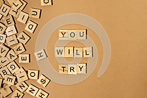 The word `YOU WILL TRY` is made of wooden letters on a brown background next to a bunch of other letters. Motivational Words Quote