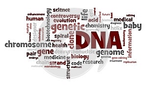 Wordcloud of DNA related words which deal with genetis, genome, gene modification and controversy