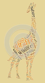 Wordcloud of giraffe