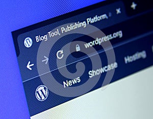 WordPress website