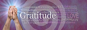 Words associated with Gratitude Prayer