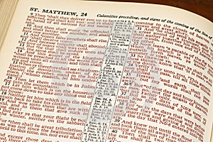 Words of Christ in Red From Bible Page