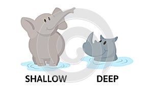 Words deep and shallow flashcard with cartoon animal characters. Opposite adjectives explanation card. Flat vector