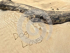 Words Dog Love Written on Sand With Paw Prints and Log