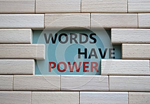 Words have power symbol. Wooden blocks with words Words have power. Beautiful grey green background. Business and Words have power