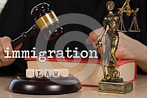 Words IMMIGRATION LAW composed of wooden dices. Wooden gavel and statue of Themis in the background