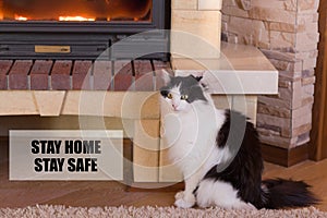 Words on the leaflet stay home, stay safe. The cat is sitting by the fireplace in the house. Stay home to reduce the risk of