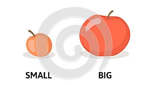 Words small and big flashcard with cartoon red apple. Opposite adjectives explanation card. Flat vector illustration