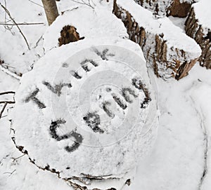 The words `think spring` written in fresh snow on a log after a spring storm