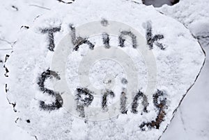 The words `think spring` written in fresh snow on a log after a spring storm