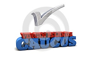 Virgin Islands Caucus photo