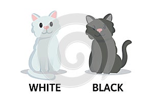 Words white and black flashcard with cartoon animal characters. Opposite adjectives explanation card. Flat vector