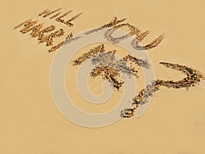 Words Will you marry me