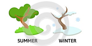 Words winter and summer flashcard with cartoon tree in different seasons. Opposite nouns explanation card. Flat vector