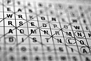 Wordsearch photo