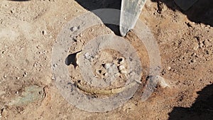 The work of the archaeologist at the excavation of the finds of the small size