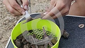 The work of the archaeologist on manual primary cleaning of the find - a rusty arrowhead