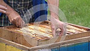 The work of a beekeeper. Honeycombs with honey